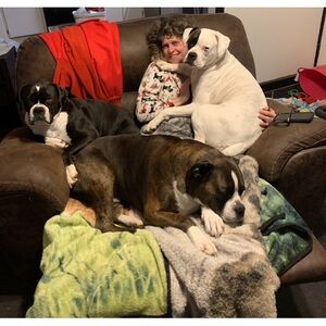 Cozy Dog Blanket - Brown and Cream